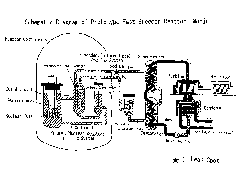 Schematic Diagram of Prototype Fast Breeder Reactor, Monju