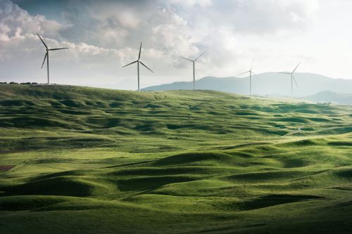 photo of a green field with windmills