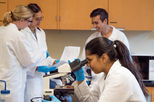 photo of several people in lab coats with one woman using a microscope