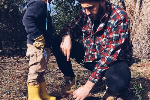 photo of a man and a young boy planting a small plant