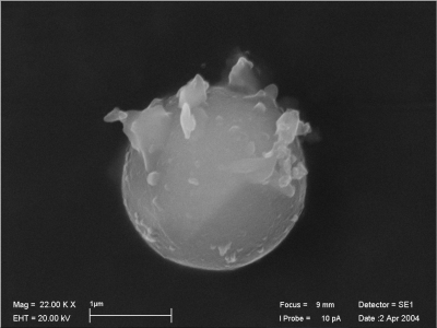Scanning electron micrograph of spherical aluminosilicate fly ash particle emitted from an oil-fired power plant. 