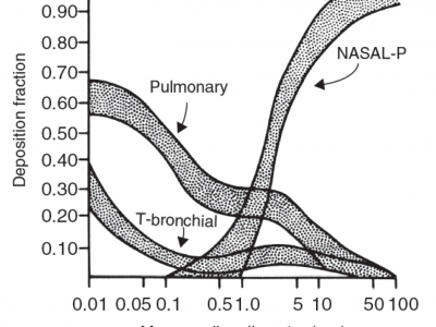 Particle deposition as a function of particle diameter in various regions of the lung.