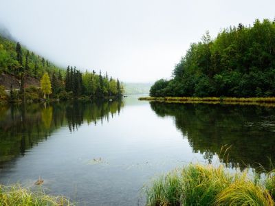 Photo of river surrounded by trees and nature