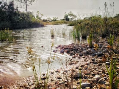 Photo of river in Belize