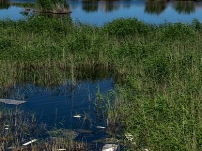 Image of waste in a lake.