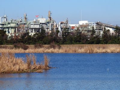 Image of natural water treatment plant.