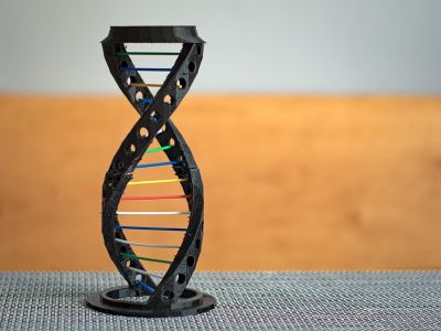 Photo of DNA model.
