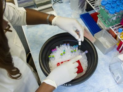 Image of genetic samples in a laboratory.